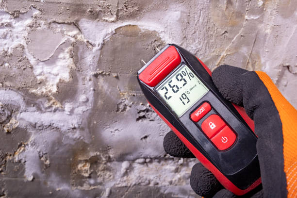 Best Attic Mold Removal  in Los Gatos, CA