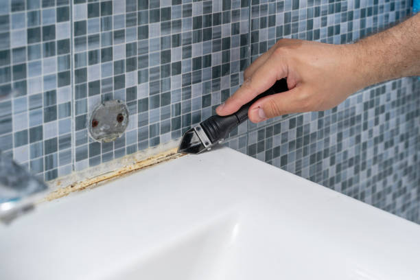 Best Office Mold Removal Services  in Los Gatos, CA